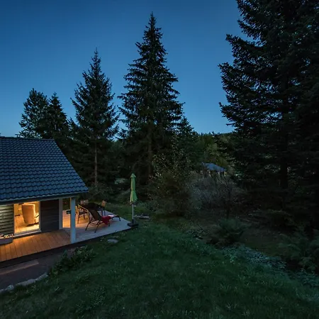 4 Personen Mit Sauna F0h3 Ruhla