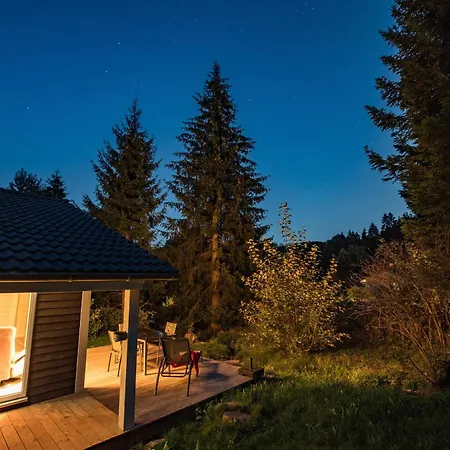 4 Personen Mit Sauna F0h3 Tatil Evi *