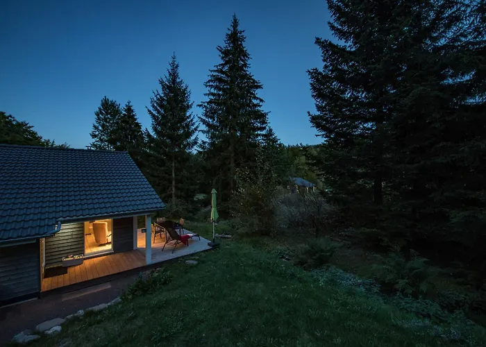 4 Personen Mit Sauna F0h3 Ruhla