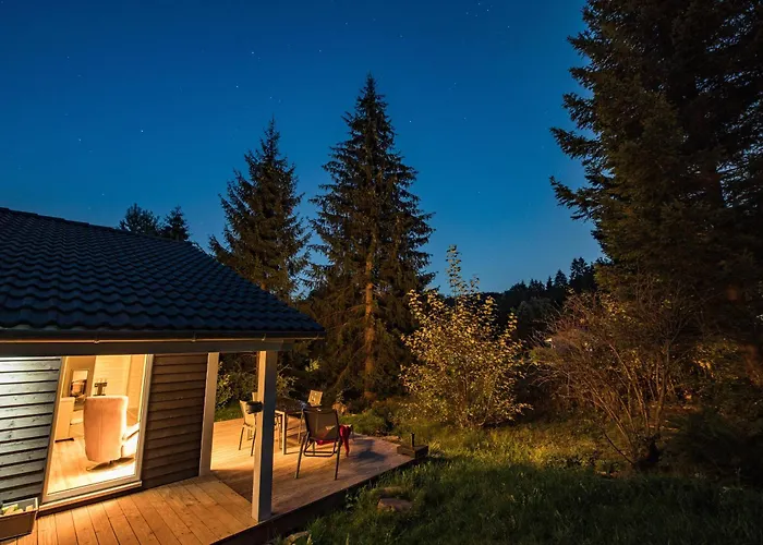 4 Personen Mit Sauna F0h3 Tatil Evi *